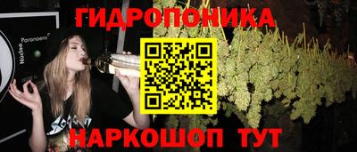 стафф Краснодар