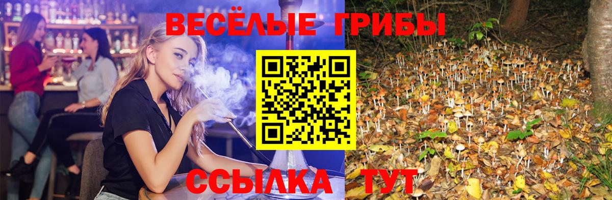 Елизово  купить   Вход с VPN  Псилоцибиновые грибы ЛСД 